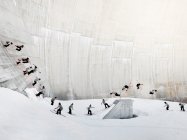 Level 1 'Pleasure' Trailer and Grand Tour