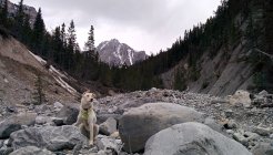 838807.jpeg 838807.jpeg