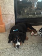 842585.jpeg 842585.jpeg