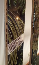 843729.jpeg 843729.jpeg