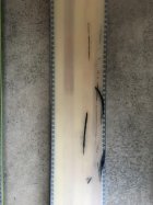 844443.jpeg 844443.jpeg