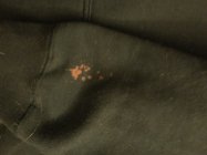 851943.jpeg 851943.jpeg