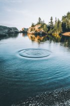 852371.jpeg 852371.jpeg