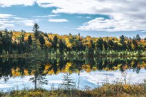 852372.jpeg 852372.jpeg