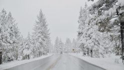 Tahoe Made Winter Great Again