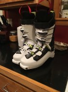 888268.jpeg 888268.jpeg