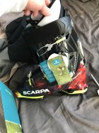 894081.jpeg 894081.jpeg