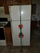 895602.jpeg 895602.jpeg