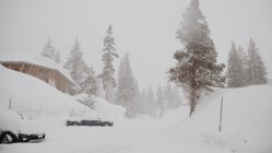 Dangerous Snow Conditions Cause Inbounds Avalanche at Squaw Valley, Sweeps Five Guests