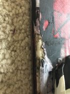 902743.jpeg 902743.jpeg