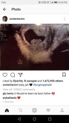 905141.jpeg 905141.jpeg