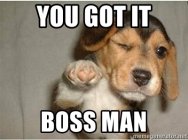 905316.jpeg 905316.jpeg