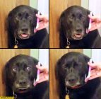 905811.jpeg 905811.jpeg