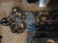 911459.jpeg 911459.jpeg