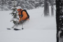 911738.jpeg 911738.jpeg