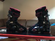 913608.jpeg 913608.jpeg