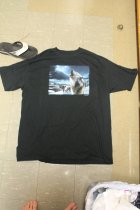 913690.jpeg 913690.jpeg