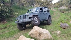 915191.jpeg 915191.jpeg