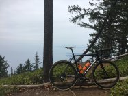 915568.jpeg 915568.jpeg