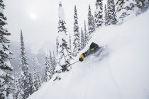 Wiley Miller Legacy Goggle 