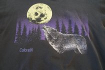 917071.jpeg 917071.jpeg