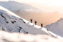 918245.jpeg 918245.jpeg