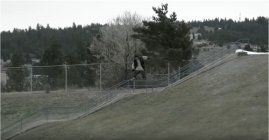 921262.jpeg 921262.jpeg