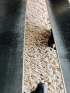 921933.jpeg 921933.jpeg