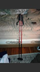 921993.jpeg 921993.jpeg