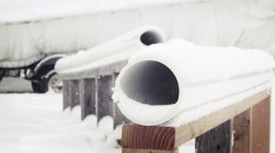 924337.jpeg 924337.jpeg