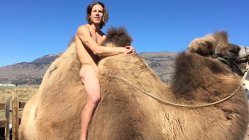 David Lesh on The Powell Movement