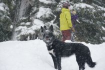 928029.jpeg 928029.jpeg