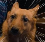 929735.jpeg 929735.jpeg