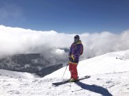 930179.jpeg 930179.jpeg