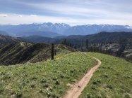 931925.jpeg 931925.jpeg