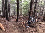 931928.jpeg 931928.jpeg