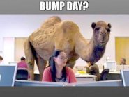 937687.jpeg 937687.jpeg