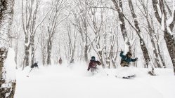 Introducing JYOSEI - An All-Female Street And Pow Production 