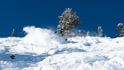 In-Depth Review: 2023 Lib Tech UFO 105 | The Roofbox Reviews