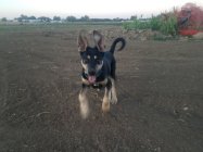 940865.jpeg 940865.jpeg