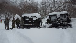 942892.jpeg 942892.jpeg