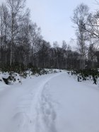 949292.jpeg 949292.jpeg