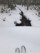 949293.jpeg 949293.jpeg