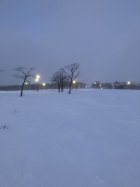 949296.jpeg 949296.jpeg