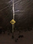 949299.jpeg 949299.jpeg