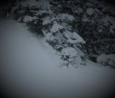 950828.jpeg 950828.jpeg