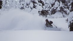 When The Stars Align - Powder Skiing
