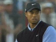 953011.gif 953011.gif