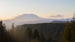 What is a “Ski Bum”?