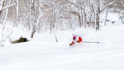 From Vermont, With Love